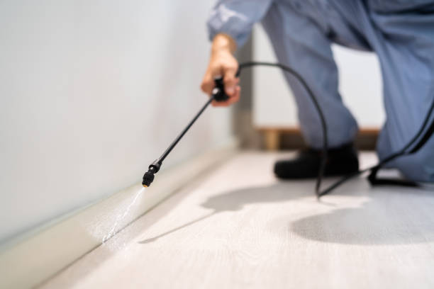 Rodent Entry Point Assessment in Moroni