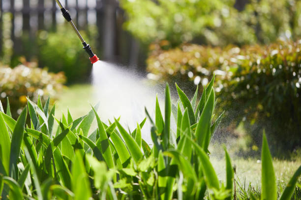 Tamper-Resistant Bait Stations for Rodents in Moroni