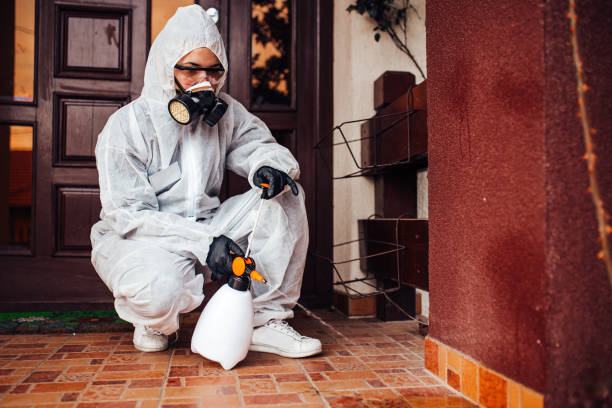 Attic and Crawl Space Rodent Treatment in Moroni