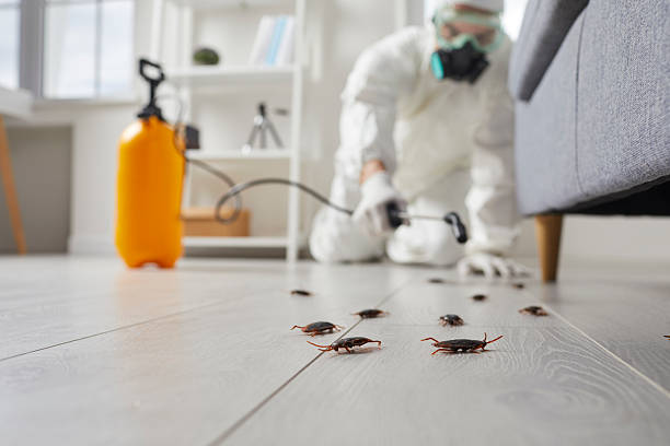 Commercial Rodent Management in Moroni